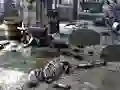 Jwèt Friends Rescue From Skeleton sou entènèt