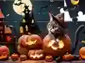 Jwèt Jigsaw Puzzle: Halloween Cat sou entènèt