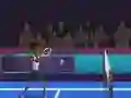 Jwèt Badminton Brawl sou entènèt