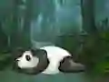 Jwèt Wakeup The Sleeping Panda sou entènèt