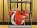 Jwèt Rescue The Red Squirrel From Cage sou entènèt