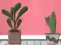 Jwèt Find Houseplant sou entènèt