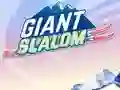 Jwèt Giant Slalom sou entènèt