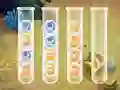 Jwèt Sort Bubbles sou entènèt