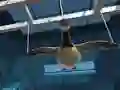 Jwèt Goose Museum sou entènèt