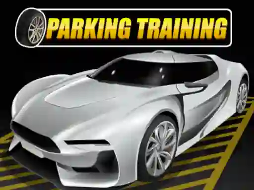 Jwèt Parking Training sou entènèt