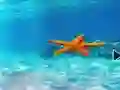 Jwèt Escape From Underwater Starfish sou entènèt
