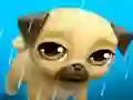 Jwèt My Virtual Pet Louie the Pug sou entènèt