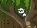 Jwèt Panda Jungle Escape sou entènèt