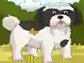 Jwèt Dogs Spot the Diffs Part 2 sou entènèt