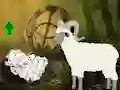 Jwèt Help The Baby Sheep sou entènèt