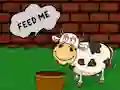 Jwèt Find The Cow Feed sou entènèt