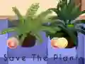 Jwèt Save the Plants sou entènèt