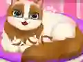 Jwèt Cute Kitty Pregnant sou entènèt