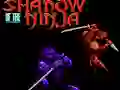 Jwèt Shadow of the Ninja sou entènèt