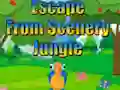 Jwèt Escape from Scenery Jungle sou entènèt