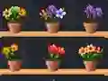Jwèt Good Flower Master sou entènèt