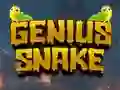 Jwèt Genius Snake sou entènèt