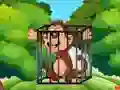 Jwèt Free the Captive Ape sou entènèt