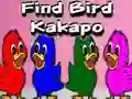 Jwèt Find Bird Kakapo sou entènèt