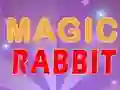 Jwèt Magic Rabbit sou entènèt