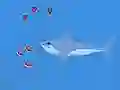 Jwèt Oceans Shees sou entènèt