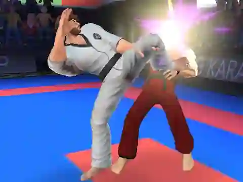 Jwèt Karate Fighter sou entènèt