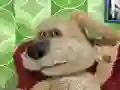 Jwèt Talking Ben the Dog sou entènèt