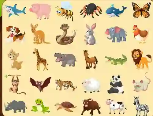 Jwèt Discover Animals sou entènèt