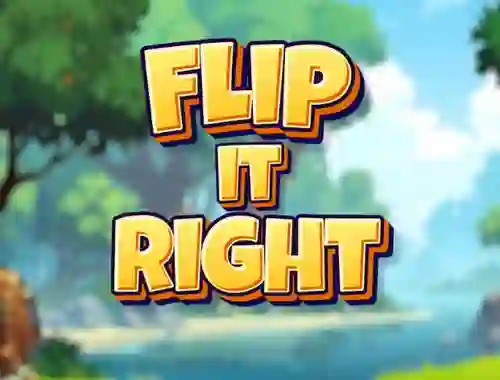 Jwèt Flip It Right sou entènèt
