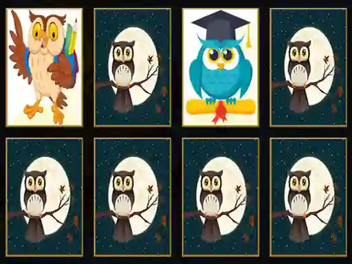 Jwèt Cute Owl Memory sou entènèt