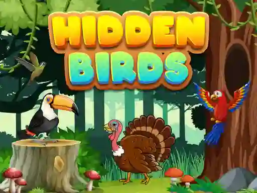 Jwèt Hidden Birds sou entènèt