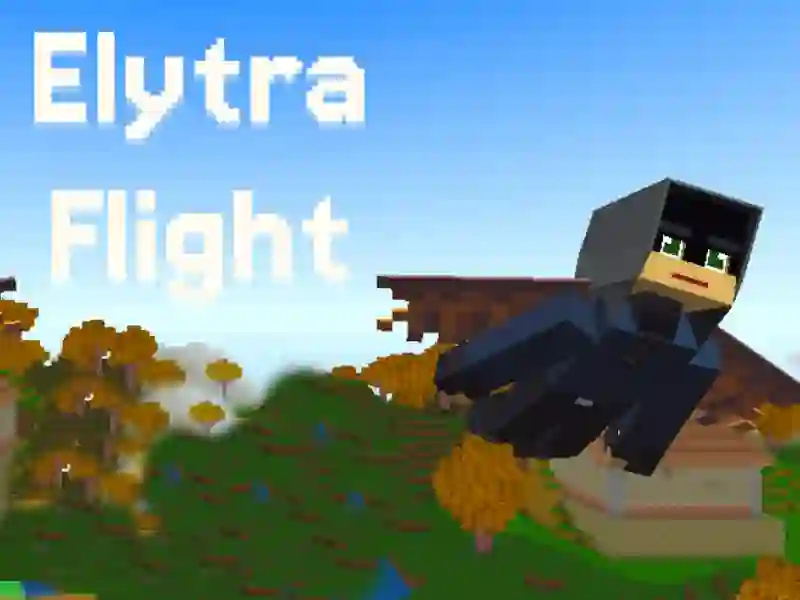 Jwèt Elytra Flight sou entènèt