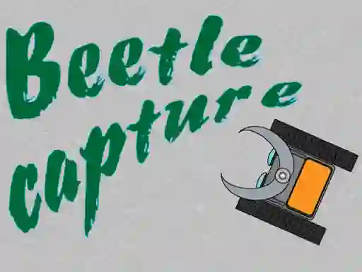 Jwèt Beetle Capture sou entènèt