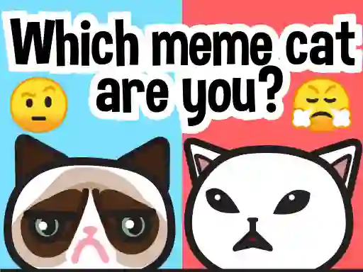 Jwèt Which Meme Cat Are You? sou entènèt