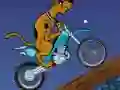 Jwèt Scooby Doo Trail sou entènèt
