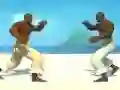 Jwèt Capoeira fighter sou entènèt