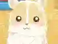 Jwèt Hamster Love sou entènèt