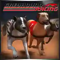 Jwèt Greyhound Racing sou entènèt