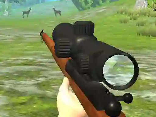 Jwèt Hunter 3D sou entènèt