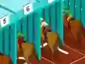 Jwèt Derby racing sou entènèt