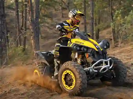 Jwèt ATV Offroad Puzzle sou entènèt