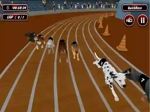 Jwèt Crazyl Dog Racing Fever sou entènèt