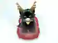 Jwèt Pet Sledding sou entènèt
