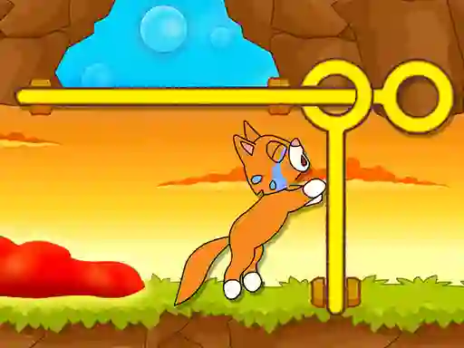 Jwèt Save The Kitten sou entènèt