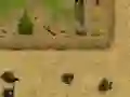 Jwèt Ambush sou entènèt