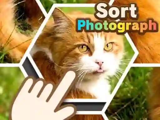 Jwèt Sort Photograph sou entènèt
