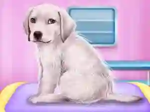 Jwèt Labrador at the doctor salon sou entènèt