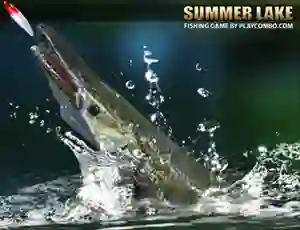Jwèt Summer Lake sou entènèt