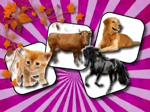 Jwèt Domestic Animal Memory Challenge sou entènèt
